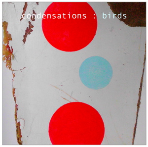 condensations : birds v sm
